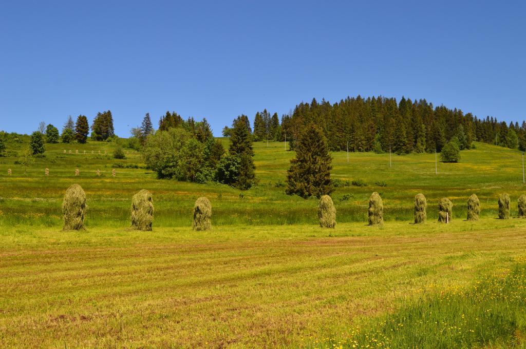 Montenero Resort&Spa Czarna Góra エクステリア 写真